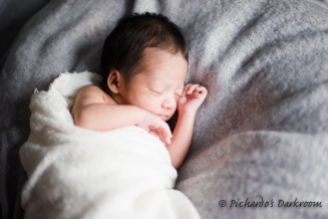 hayward_newborn_portrait