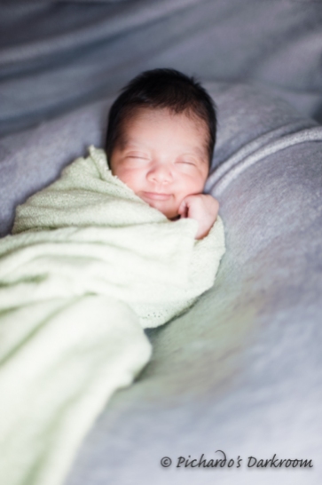 premature_baby_newborn_portrait