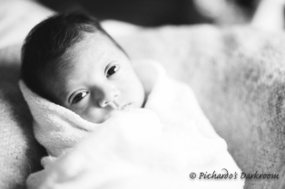 Chinese-Mexican_baby_newborn_portrait