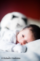 hayward_newborn_portrait
